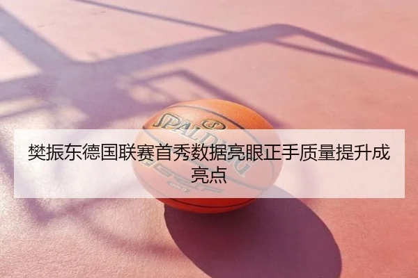 樊振东德国联赛首秀数据亮眼正手质量提升成亮点